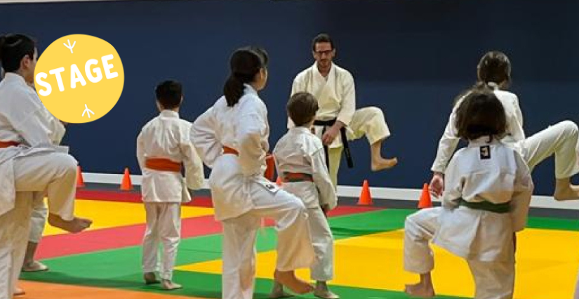 Stages Karaté et multi-activités, 8-18 ans, Karaté Club Laval 