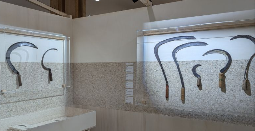 Visites commentées, en famille, château de Mayenne