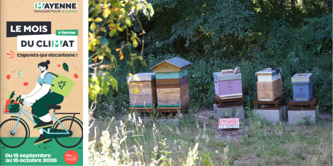 Le mois du climat "L’apiculture au golf de Laval", en famille, Changé