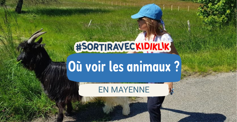 Où voir les animaux avec les enfants en Mayenne ?