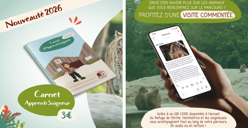 alt="2 nouveautés au Refuge de l'Arche, Château-Gontier pour les enfants"