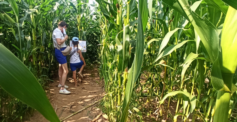 famille jardins des Renaudies La Mayenne