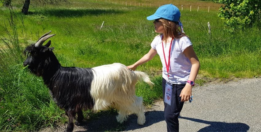 Où voir les animaux avec les enfants en Mayenne ?
