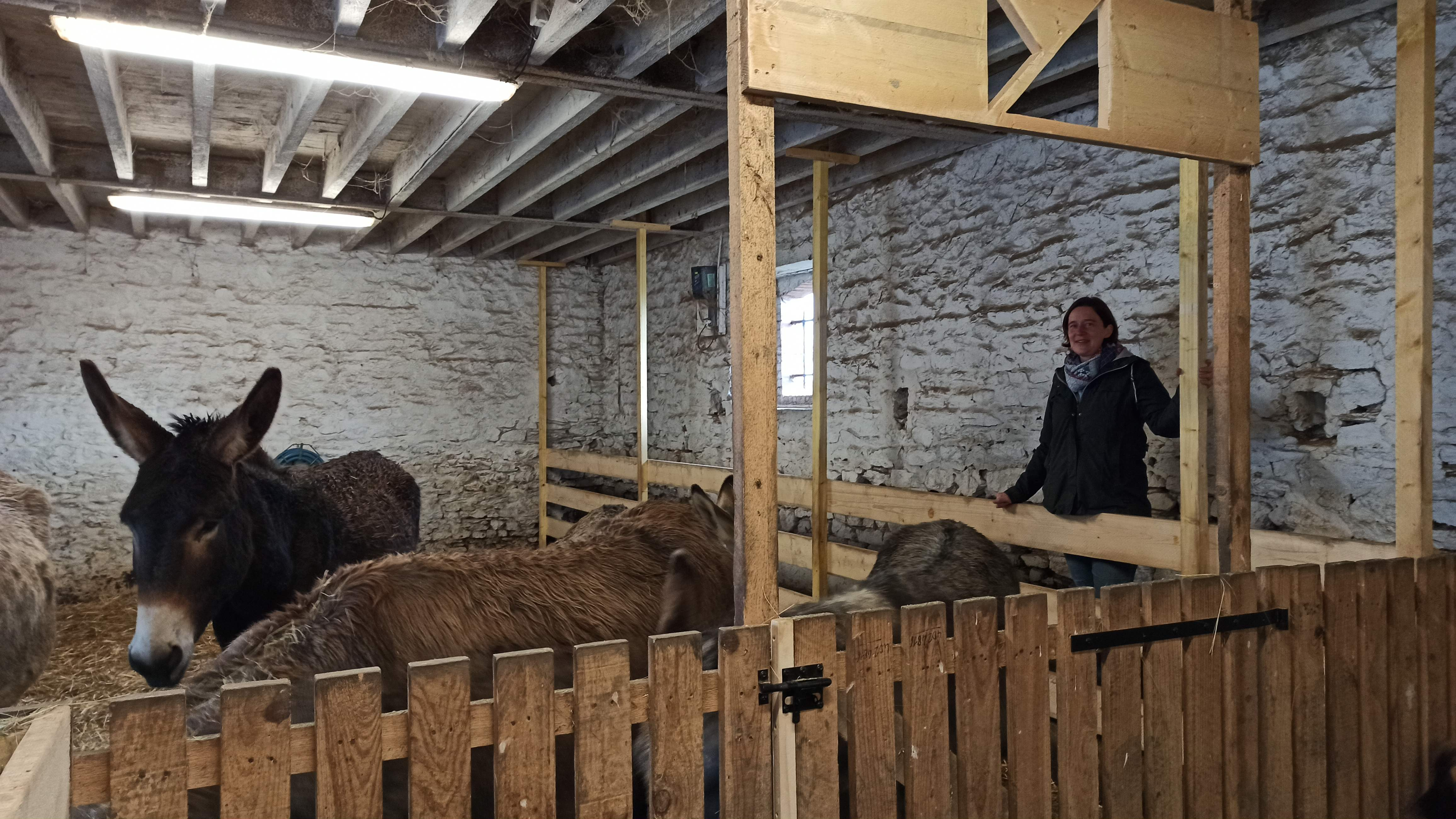 Asinerie bois gamat Laval Mayenne ânes animaux visite atelier animation enfants famille nature vacances automne