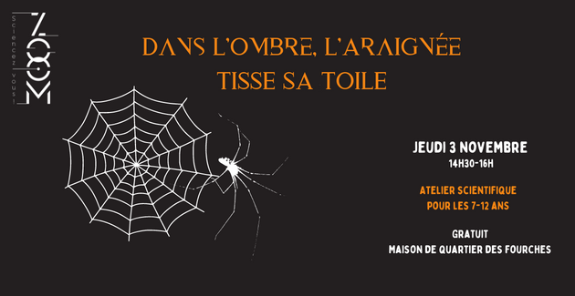Le ZOOM musée des sciences Laval Mayenne enfant famille atelier vacances araignée gratuit