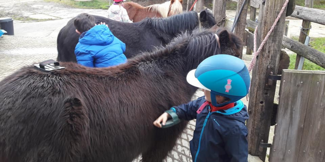 Espace équestre du Fouilloux St Germain du Fouilloux Mayenne Laval animaux poney cheval enfant psychomotricité stage vacances