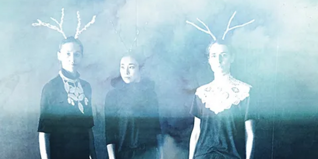 "Ronces", spectacle de danse contemporaine pour toute la famille, Croq' les mots, marmot ! Mayenne