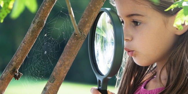 CIN faune et flore nature enfant famille Laval Mayenne insectes