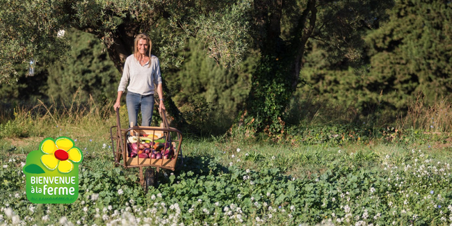 Avec le réseau Bienvenue à la ferme: découvrez la vie agricole mayennaise !