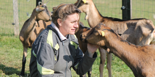 Bienvenue à la ferme ferme pédagogique animaux Laval Mayenne enfants famille vacances