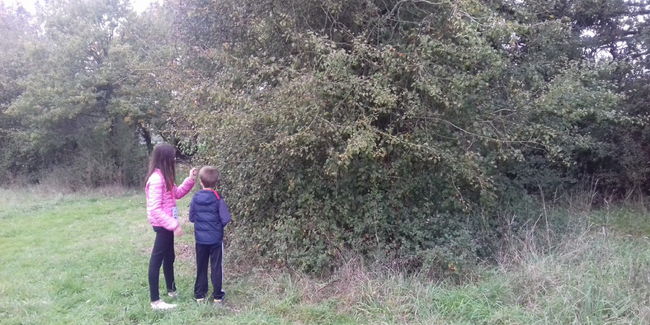 Grignotages et bricolages d'automne, en famille à partir de 6 ans. A la découverte des Espaces Naturels Sensibles de La Mayenne, Bourgon