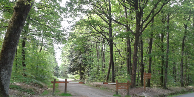 Espaces Naturels Sensibles de La Mayenne En famille Gratuit