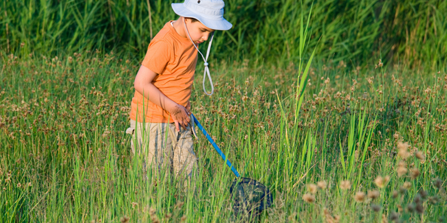 Espaces Naturels Sensibles de La Mayenne En famille Gratuit papillons