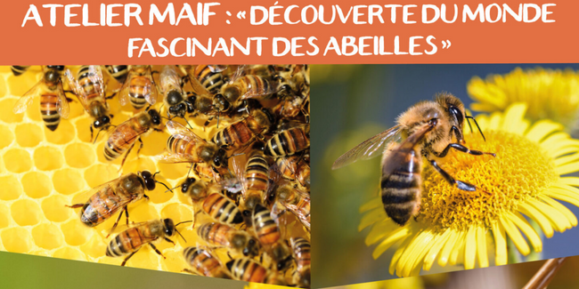 Atelier “Découverte du monde fascinant des abeilles” , enfant 8-13 ans, le Refuge de l'Arche, Château-Gontier parent gratuit