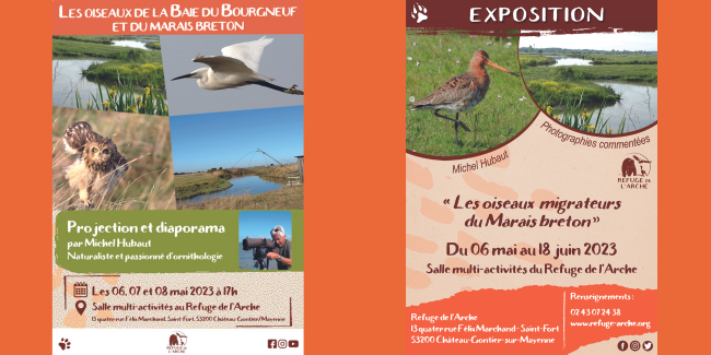 Journée mondiale des oiseaux migrateurs au Refuge de l'Arche, Château-Gontier sur Mayenne