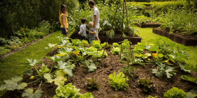 Rendez-vous aux jardins, en famille, Manoir de Favry, Préaux