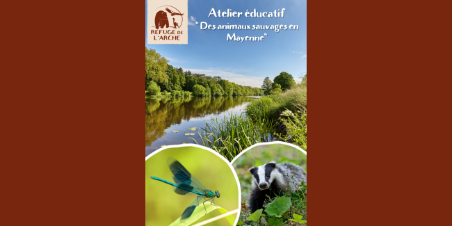 Atelier éducatif "Des animaux sauvages en Mayenne" au Refuge de l'Arche, Château-Gontier