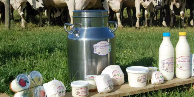 Visite de La Ferme BIO de Val-du-Maine, Saulges en famille gratuit