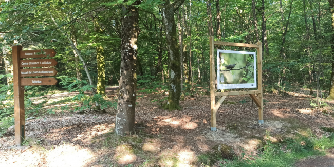 Animation familiale "Le bois de l'Huisserie à travers les yeux de l'ONF", Centre d'Initiation à la Nature, Laval