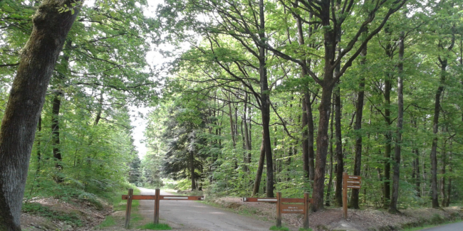 Jeu de piste familial "Pist' et moi", Centre d'Initiation à la Nature, Laval