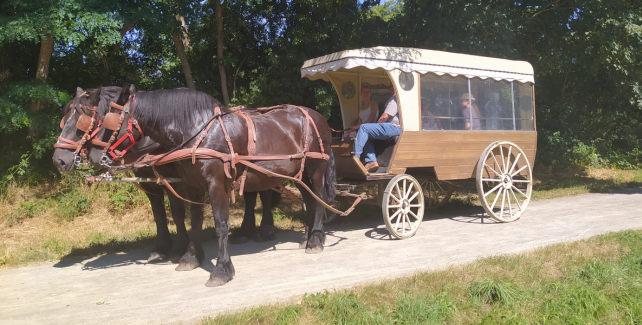 Balades familiales en calèche dans le Bocage Mayennais : Ambrières-les-Vallées, Colombiers-du-Plessis, Gorron