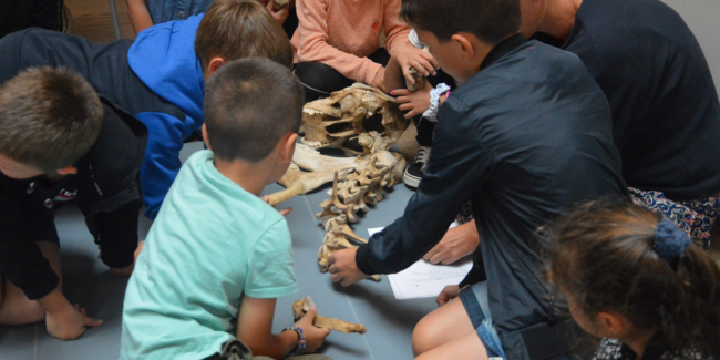 Atelier famille "ArchéoZoo ! ", dès 6 ans au Musée du Château de Mayenne
