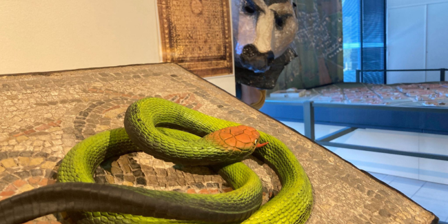 Atelier "Apprentis charmeurs de serpents", enfant de 4 à 6 ans, musée archéologique de Jublains