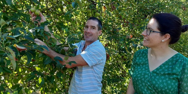 Visites de l'exploitation "Du pommier au jus de pommes", en famille, Les Vergers de la Rouérie, Gennes-Longuefuye