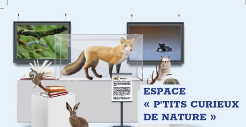 Animation familiale "Espace P'tits curieux de nature", Centre d'Initiation à la Nature, Laval