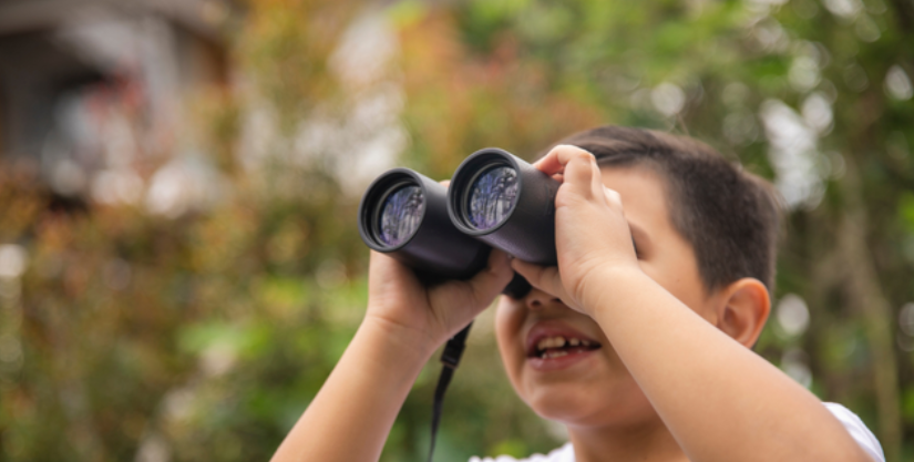 Animation familiale "Sciences participatives Oiseaux" dès 7 ans au Centre d'Initiation à la Nature, Laval