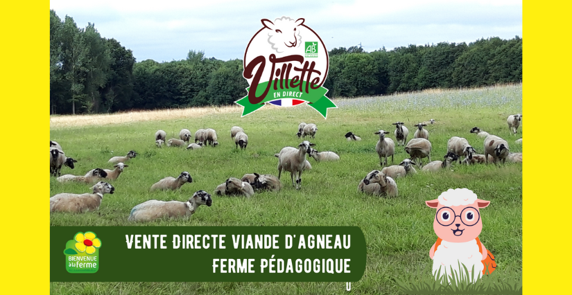 Visite familiale à la ferme pédagogique Villette en direct, Gennes-Longuefuye