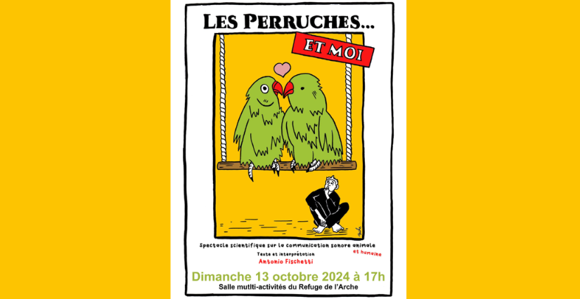 Théâtre "Les perruches & moi", en famille, Le Refuge de l'Arche, Château-Gontier sur Mayenne
