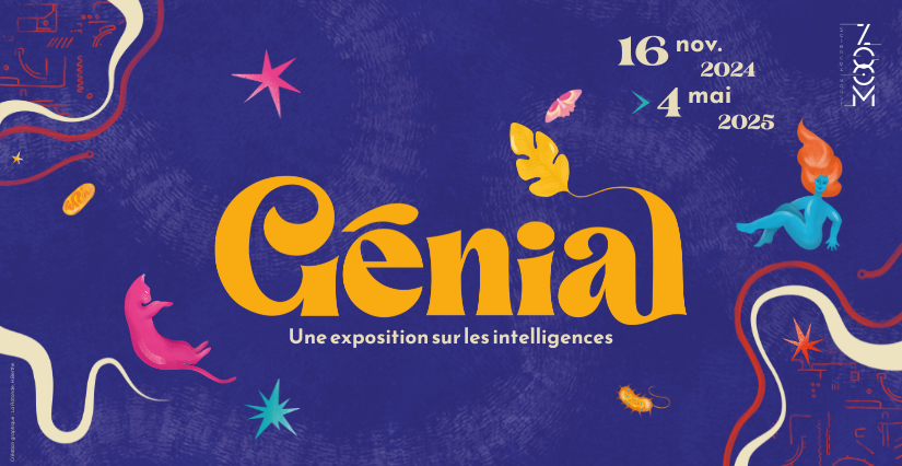 Génial ! – Une exposition sur les intelligences, à partir de 7 ans, Le ZOOM, Laval