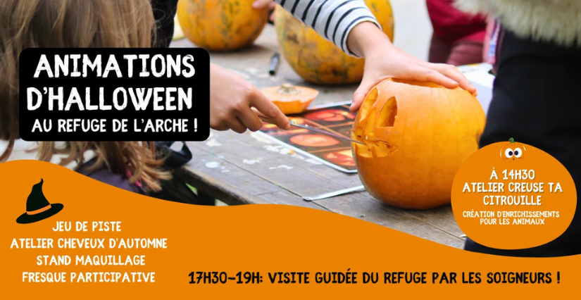 Fêtez Halloween au Refuge de l'Arche, Château-Gontier