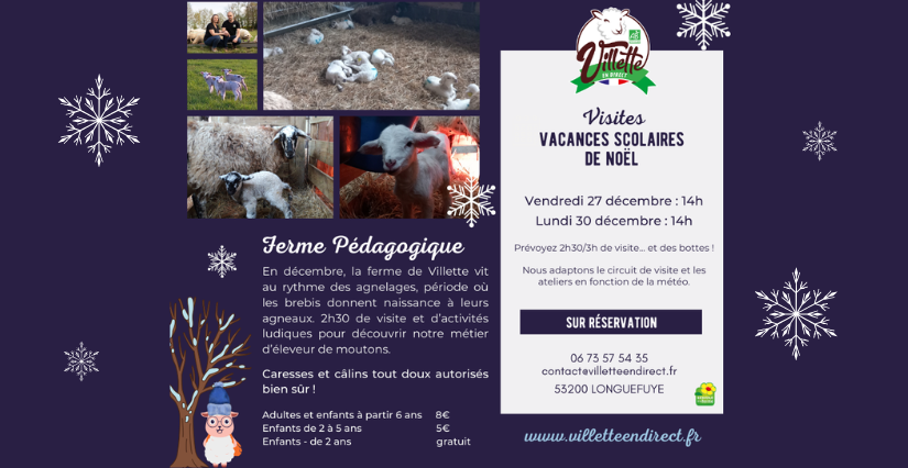 Visite familiale de la ferme pédagogique Villette en direct, Gennes-Longuefuye