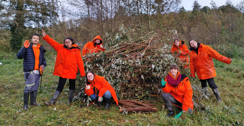 © Unis Cité Découvertes du bois, dès 6 ans, CIN, Laval