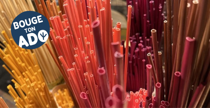 Atelier découverte de la marqueterie de paille, dès 12 ans, Forum des Métiers d'Art de Jublains