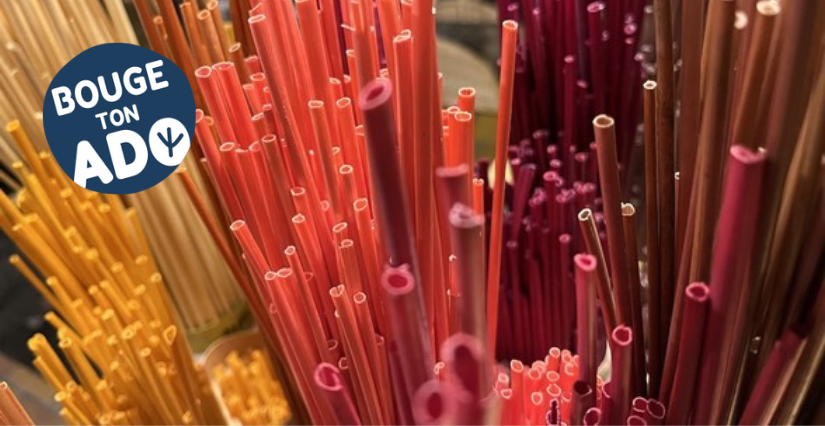 Ateliers plongée dans la marqueterie de paille, dès 15 ans, Forum des Métiers d'Art Jublains