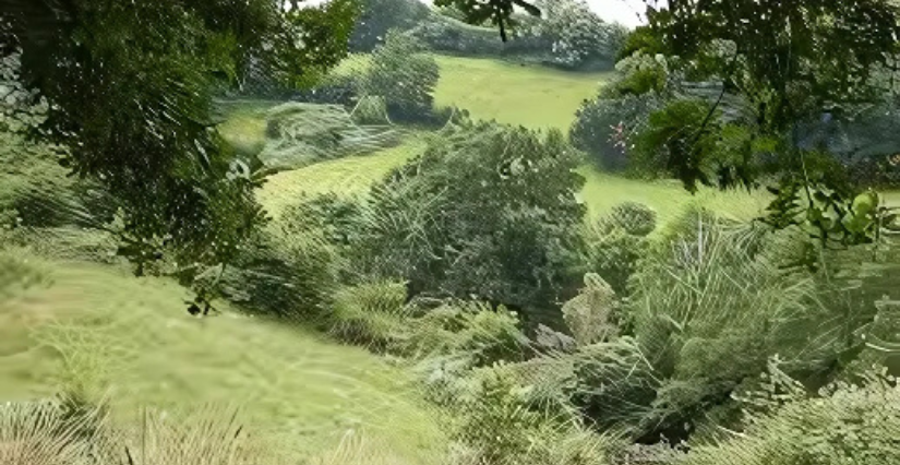 Sortie Nature, "École buissonnière pour petits et grands", dès 9 ans, CIN, Laval