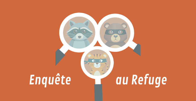 Animation "Enquête au refuge : Le voleur de nourriture", dès 6 ans, Le Refuge de l'Arche, Château-Gontier-sur-Mayenne