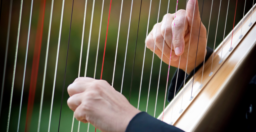 Sieste musicale "Concert de Harpe" en famille, château de Ste Suzanne