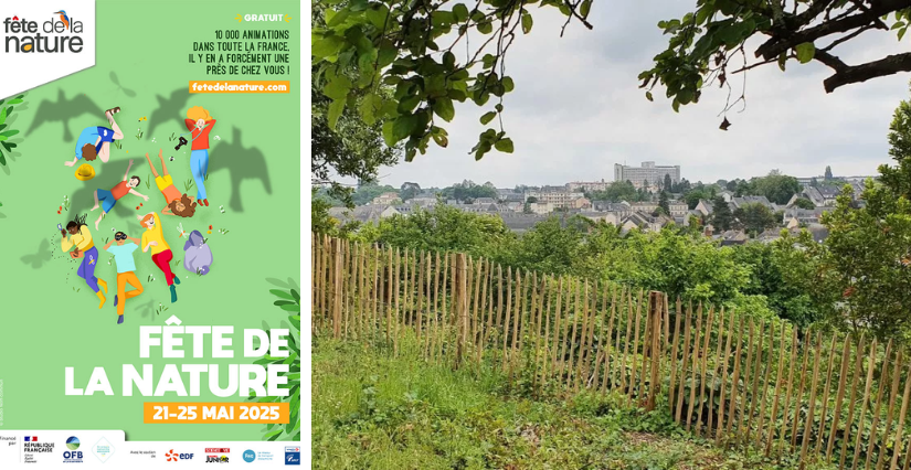 Animation "Nature en ville", dès 10 ans, CIN, Laval
