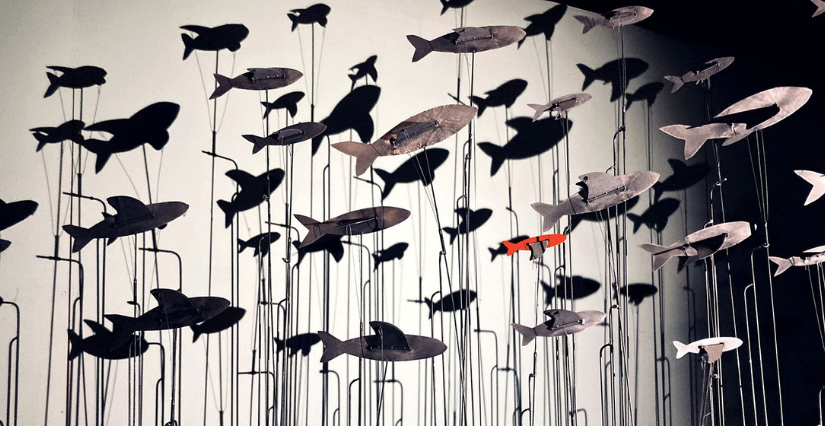 Installations marionnettiques "Il y a des oiseaux dans l’aquarium", en famille, festival Pupazzi, Théâtre de Laval