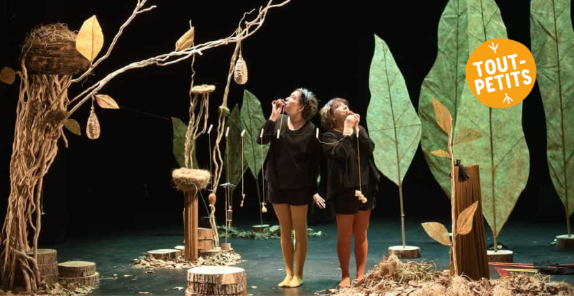 Musique théâtre d’objets "Drôles d’oizo", à partir de 1 an, Le Carré, Château-Gontier