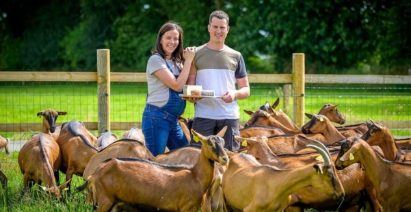 L'Été à la ferme : La ferme Painchaud, St Berthevin la Tannière
