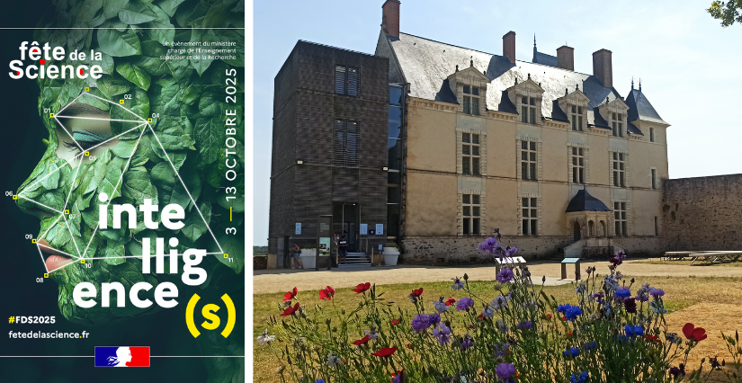 Fête de la science, Château de Ste Suzanne