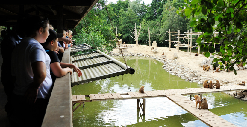 Le Refuge de l'Arche est ouvert, Château-Gontier-sur-Mayenne