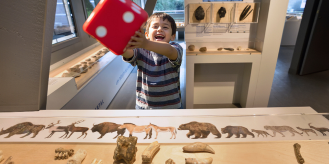 [Dé]fi au musée, dès 6 ans, musée de Préhistoire, Saulges