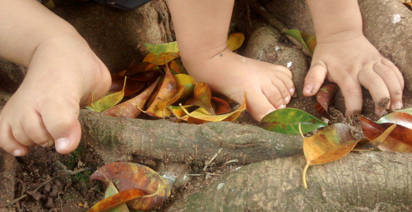 Observer, écouter, ressentir : la nature autrement, dès 5 ans, Centre d'Initiation à la Nature, Laval