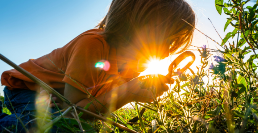 Balade "Traces et indices de présence", 8 ans et +, Centre d'Initiation à la Nature, Saint-Ouën-des-Toits